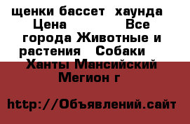 щенки бассет- хаунда › Цена ­ 20 000 - Все города Животные и растения » Собаки   . Ханты-Мансийский,Мегион г.